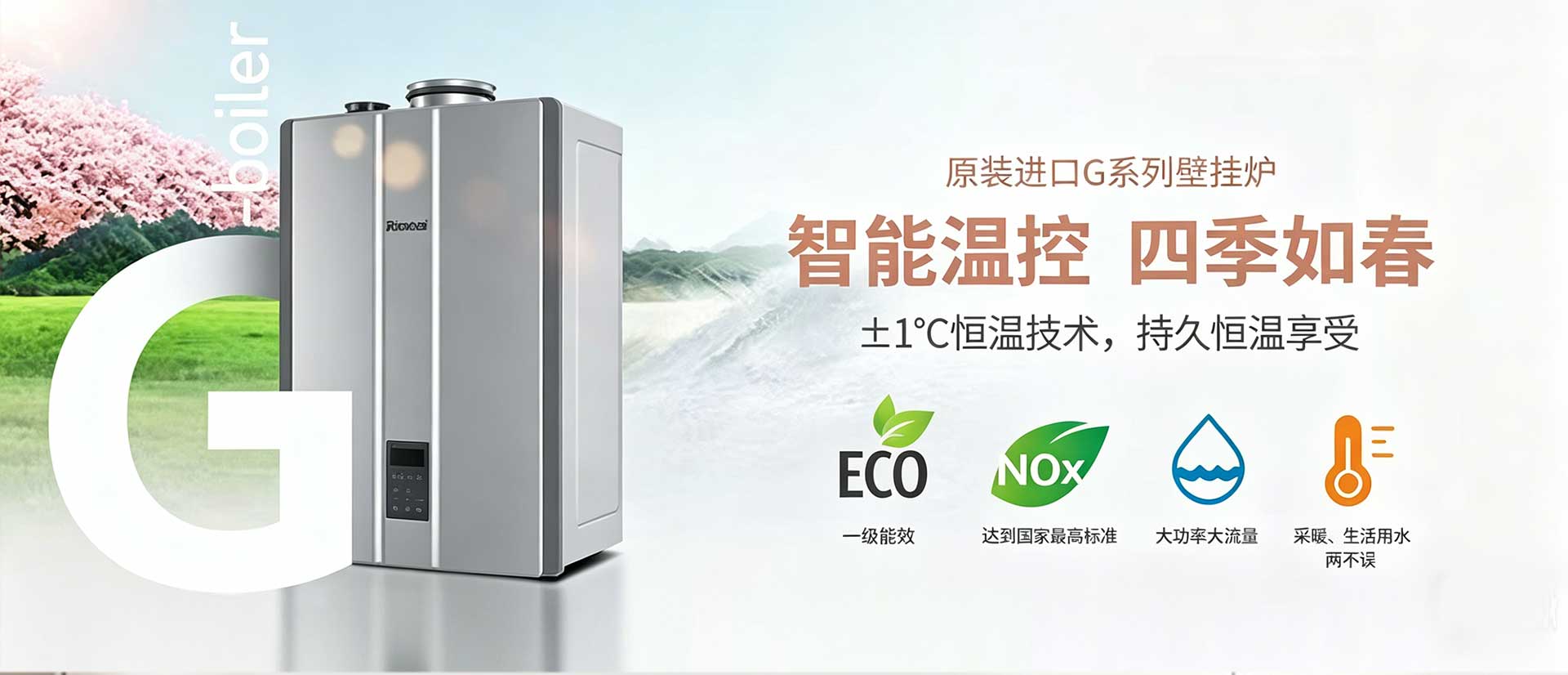 原装进口G系列壁挂炉